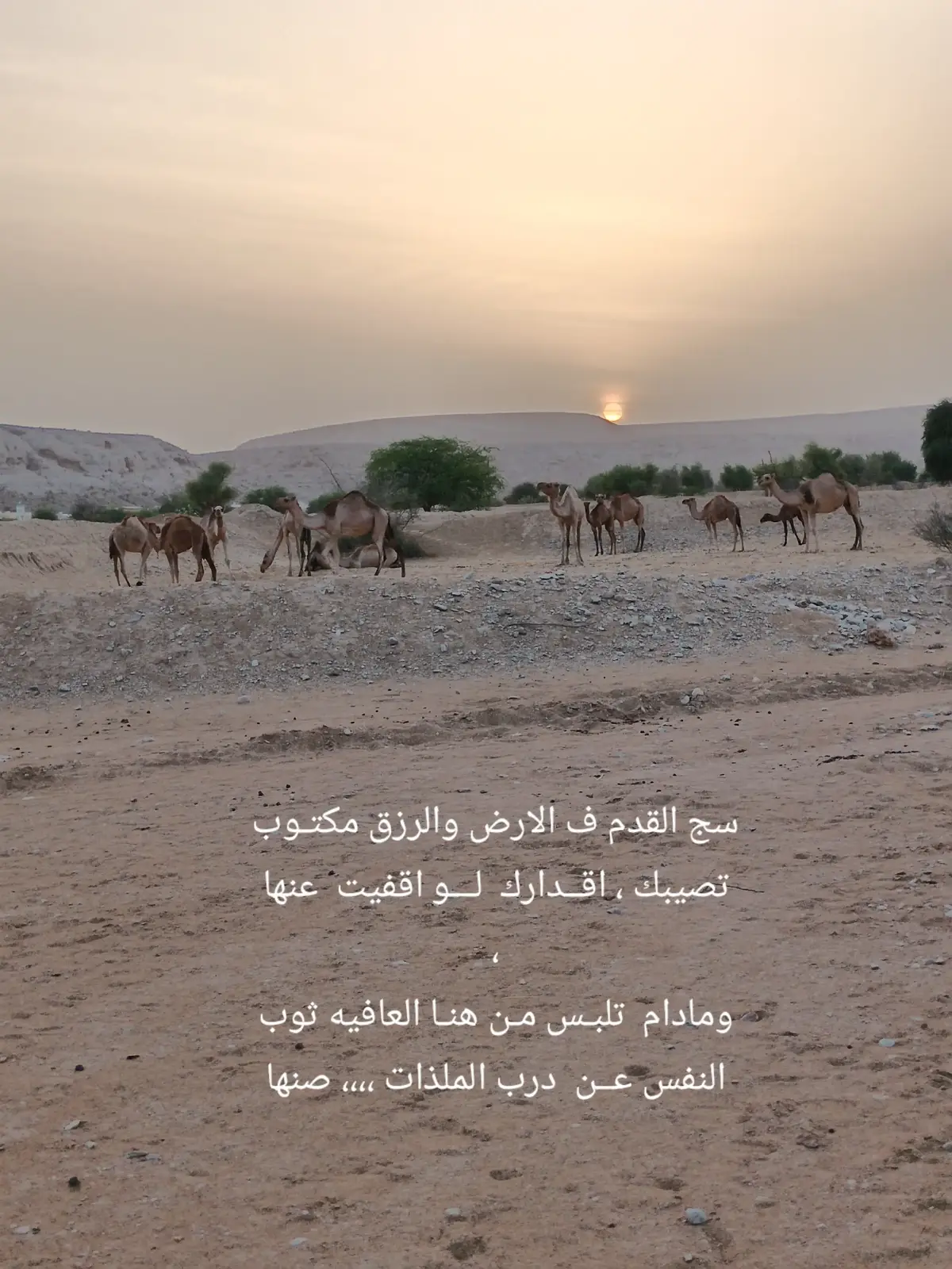 #تصويري #ريدة_المعاره_حضرموت #اليمن 