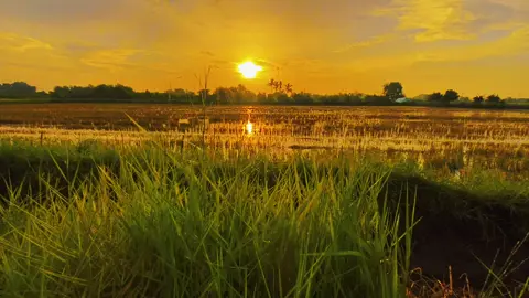 #CapCut Music chill with sky sunrise so beautiful . #capcutradio #vibe #flyaway #music #daisucctt #sky #sunrise 