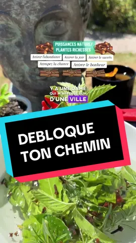 Attirer l'abondance avec les feuilles de laurier #abondance #change #etatsunis #lucky #nature #pt #poutoi #fyp #f #naturel #astuce #voeux #argent #envoutement #blocage #spirituel #abondance #purification #bain #attirance #drakafelix🍀 
