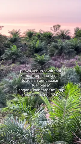 Konsisten#sawitontiktok#sawitkalimantan #sawitriau #sawit 