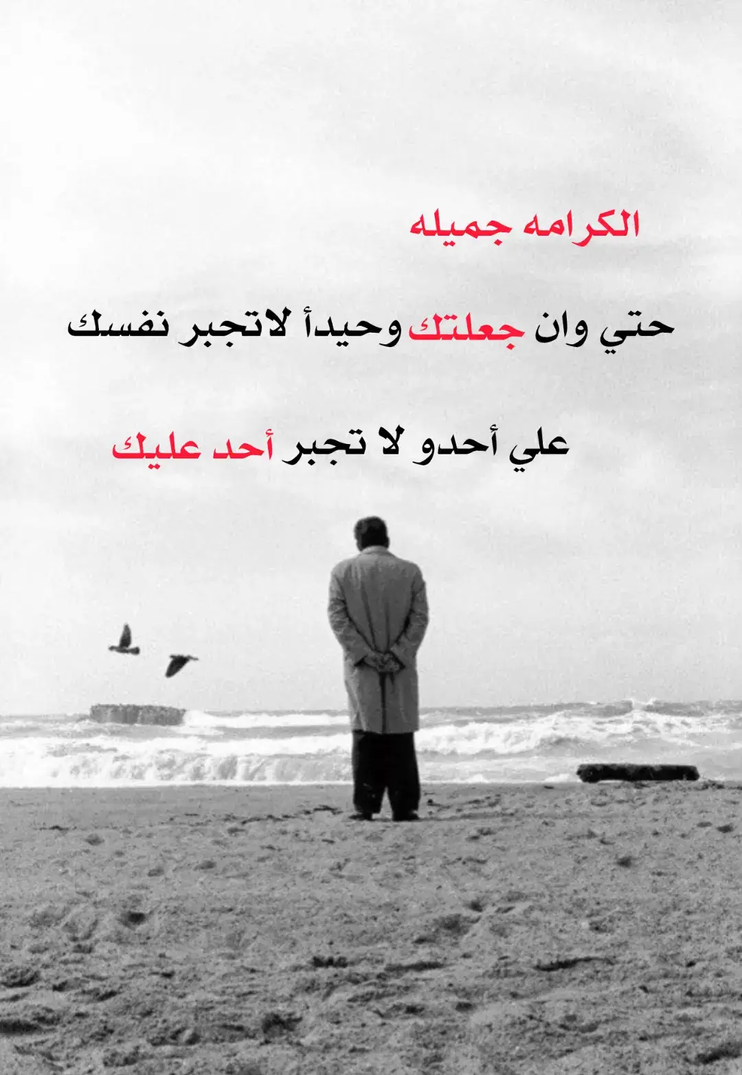 #عبارتكم_فخمة🖤💉🥀 #عباراتكم_الفخمه📿📌 #عطوني_عبارات_حلوه🖇️🖤 