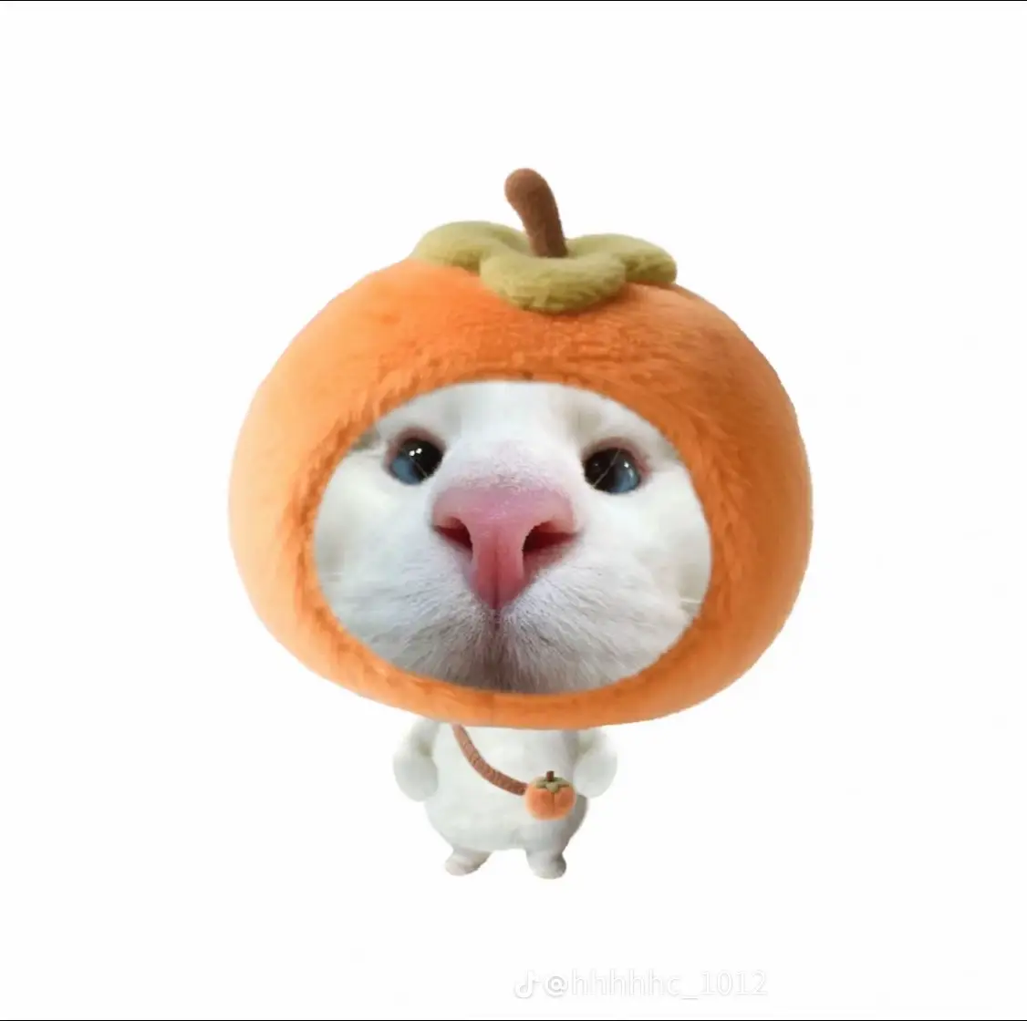 avatar mèo trái cây 