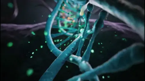 🔬 Peek into the double helix— DNA magic revealing the code that builds every living thing. #biology #dna #helix #biologyclass #biologymajor #biologystudent #biologyteacher #biologytutor #biologylab #biologyfun #chemistry #chemistrylab #life #science #scienceexperiments #scienceismagic #microscopic #ai #aivideo #fyp #viral 