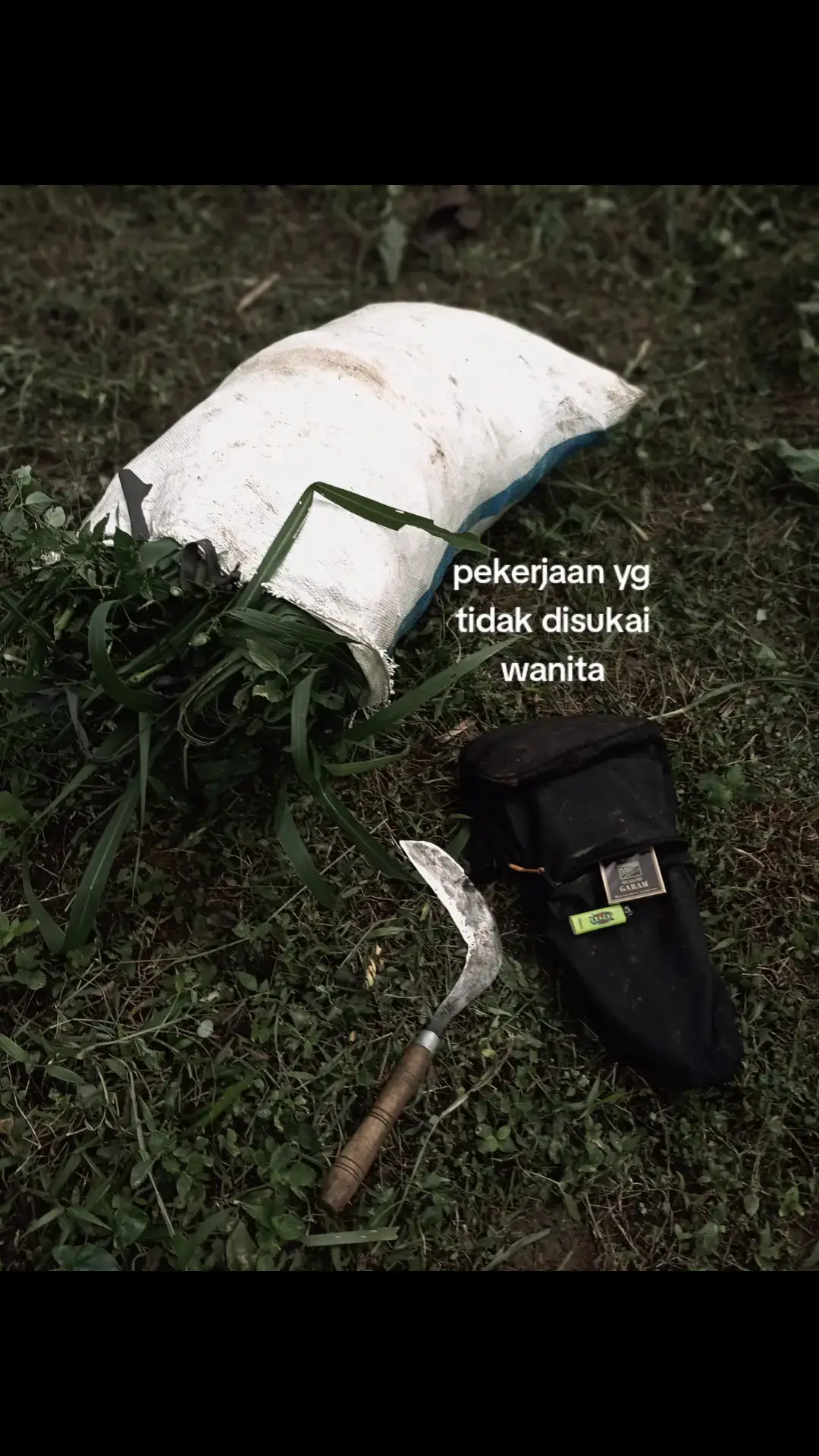 #ngarit #tukangngarit 