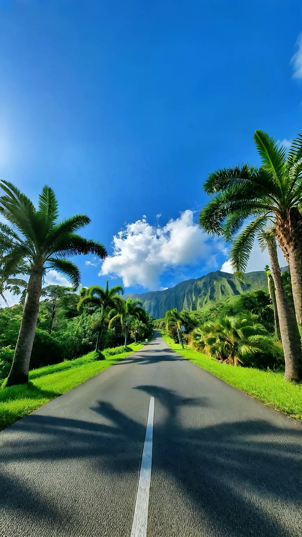 #fyp #hawaii #eeuu #travel #Summer #clean #xyzbcafypシ #viral #goviral #4k