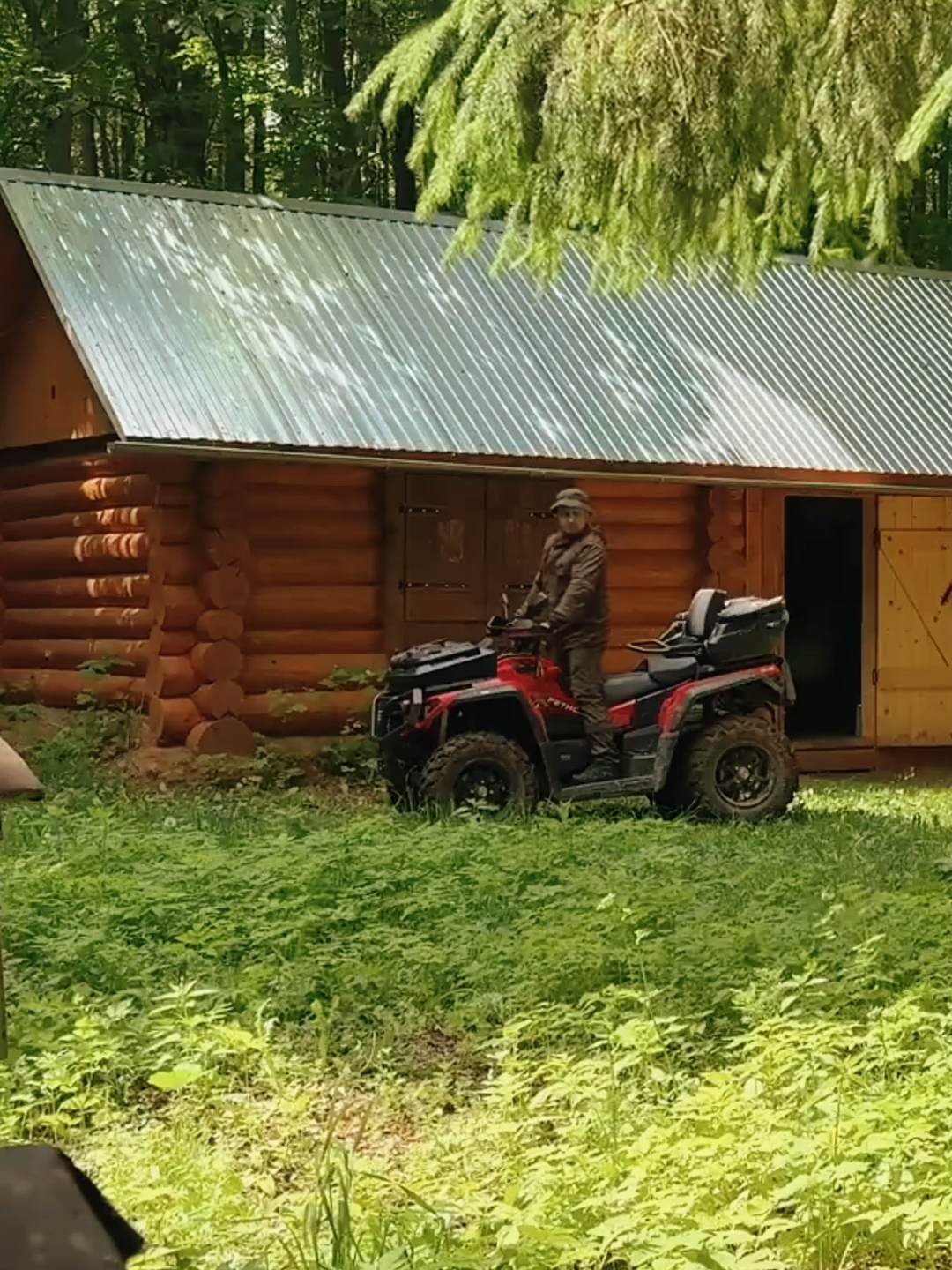One Day In The Life In My  Log Cabin Off-Grid#build #bushcraft #fyp #outdoor #wildernesscrafters #shelter