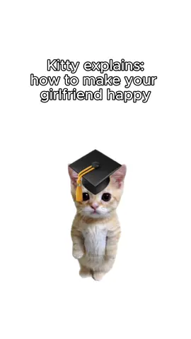 Does this make sense? Comment below…  #kitty #funny #like #share #follow #comment #share #tiktok #fy #foryou #viral #100k 