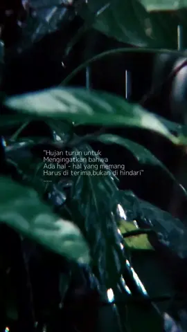 Hujan turun Untuk mengingatkan.. #katakata #story #rain #katakatamotivasi  #hujan #rintiksedu  #quotes #bangvihans #f 