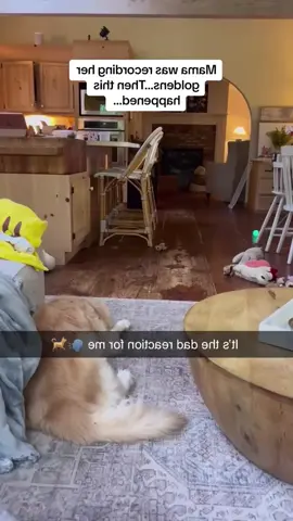 funnyꉂ🤣𐤔#funny #comdey #comedia #funnyvideos 