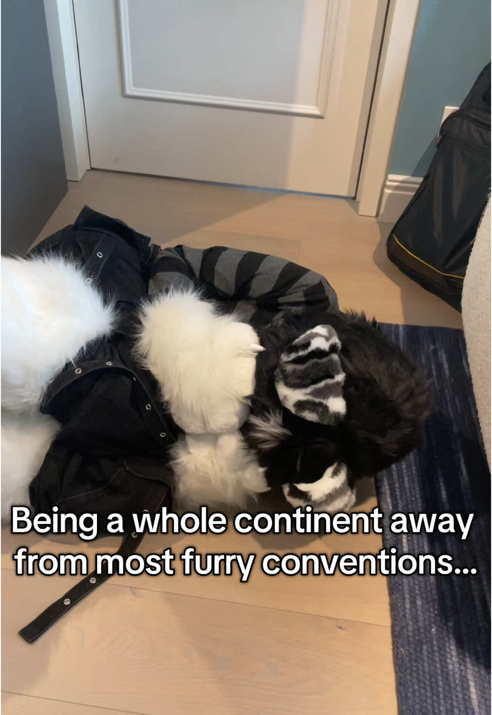 Ya I’m sorry goodluck America I’ll miss yall . . . #furry #austria #usa #convention #help #freehealthcare #ambulance #bigbeautifulbill #FursuitFriday #kigurumi #kemono #fursuit #dance #fyp #vienna #furryfandom #furrytiktok #FYPシ #goth  #emo #femboy #ItHitHisFingEarMan  