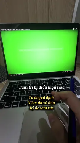 Tâm trí bị điều kiện hoá bằng tư duy cố định, niềm tin vô thức & ký ức cảm xúc #Phậthọc #khaivấntâmthức  #khoahoctamlinh  #CapCut 