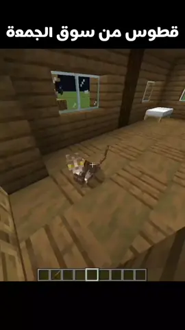 قطوس من سوق الجمعة 😂😂 #متابعه #ماين_كرافت #Minecraft #مشاهير_تيك_توك_مشاهير_العرب #memes