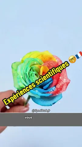 Expériences scientifiques que vous pouvez essayer à la maison#expérience #scienceexperiments #france🇫🇷 #trick 