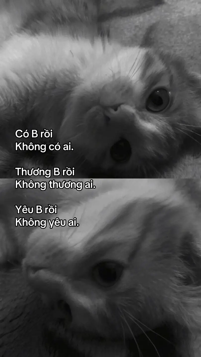 #xhhhhhhhhhhhhhhhhhhhhhhh #xhhhhhhhhhhhhhhhhhhhhhhhhhhhhh #xh2025 #chiyeuminhanh #bao #2007 #xhuong #