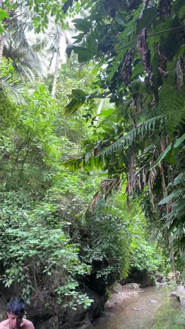nature ❤️🍃#fyp 
