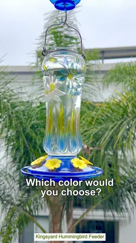 Beautiful Hummingbirds dancing around the Kingsyard feeder! Which color feeder would you choose? #kingsyard #birdfeeding #birdlover #backyardbirds #wildbirds #hummingbirds #hummingbirdfeeder #fyp 