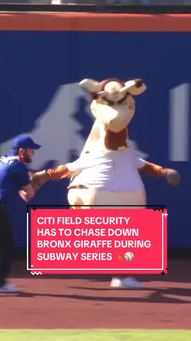 Yankees lose twice, and the giraffe is crashing out ⚾️🏟️🦒 ##mets##lgm##yankees##MLB##baseball##baseballszn##baseballlife##mlbtiktok##baseballtiktoks##citifield##funny