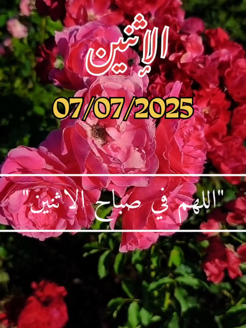 اللهم_في_صباح_يوم الإثنين_يارب #دعاء_يريح_القلوب _أنشر_اكتب شيء_ سورة الكهف_وصلي على سيدنا محمد ﷺ#اسلاميات_صور_مقاطع_ايات_معلومات_قرآن_مسلم_ادعية_استغفر_الله #fypシ゚viral #1millionaudition #🤲🤲🕋🕋🤲🤲 #عيد_سعيد  Oh mon Dieu, lundi, Seigneur Oh God, on Monday Lord