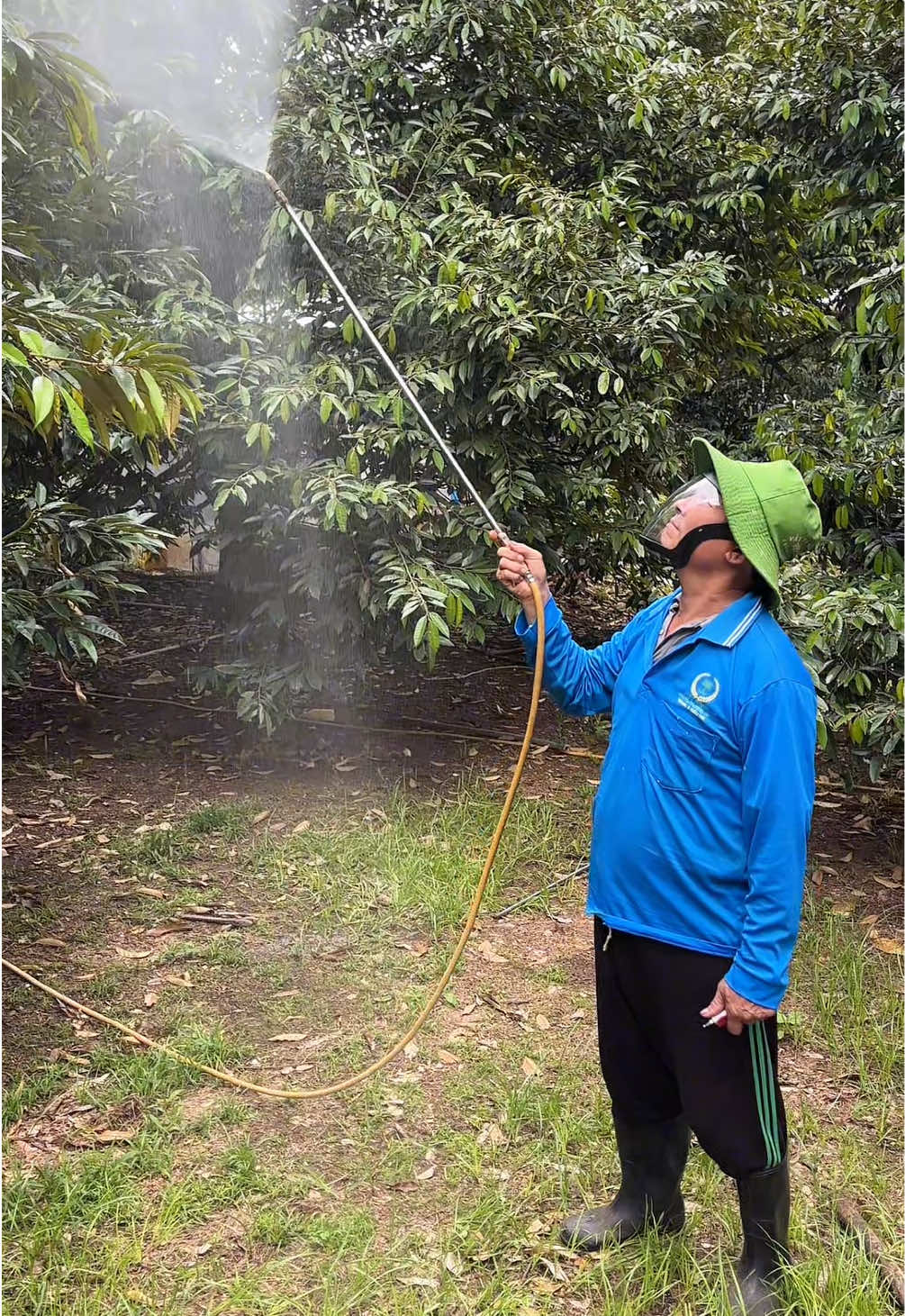Nếu biết trước có loại mặt nạ như này là em đã mua cho ba từ sớm, dùng làm vườn, làm sắt đều rất tiện #mặtna #matnaphongdoc #matnaphongdocphunthuoc  @Trinh Móm  @Trinh Móm  @Trinh Móm 