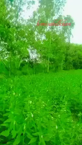 #❤️❤️❤️❤️❤️🕊️🕊️🕊️🕊️🕊️💝💝💝💝 