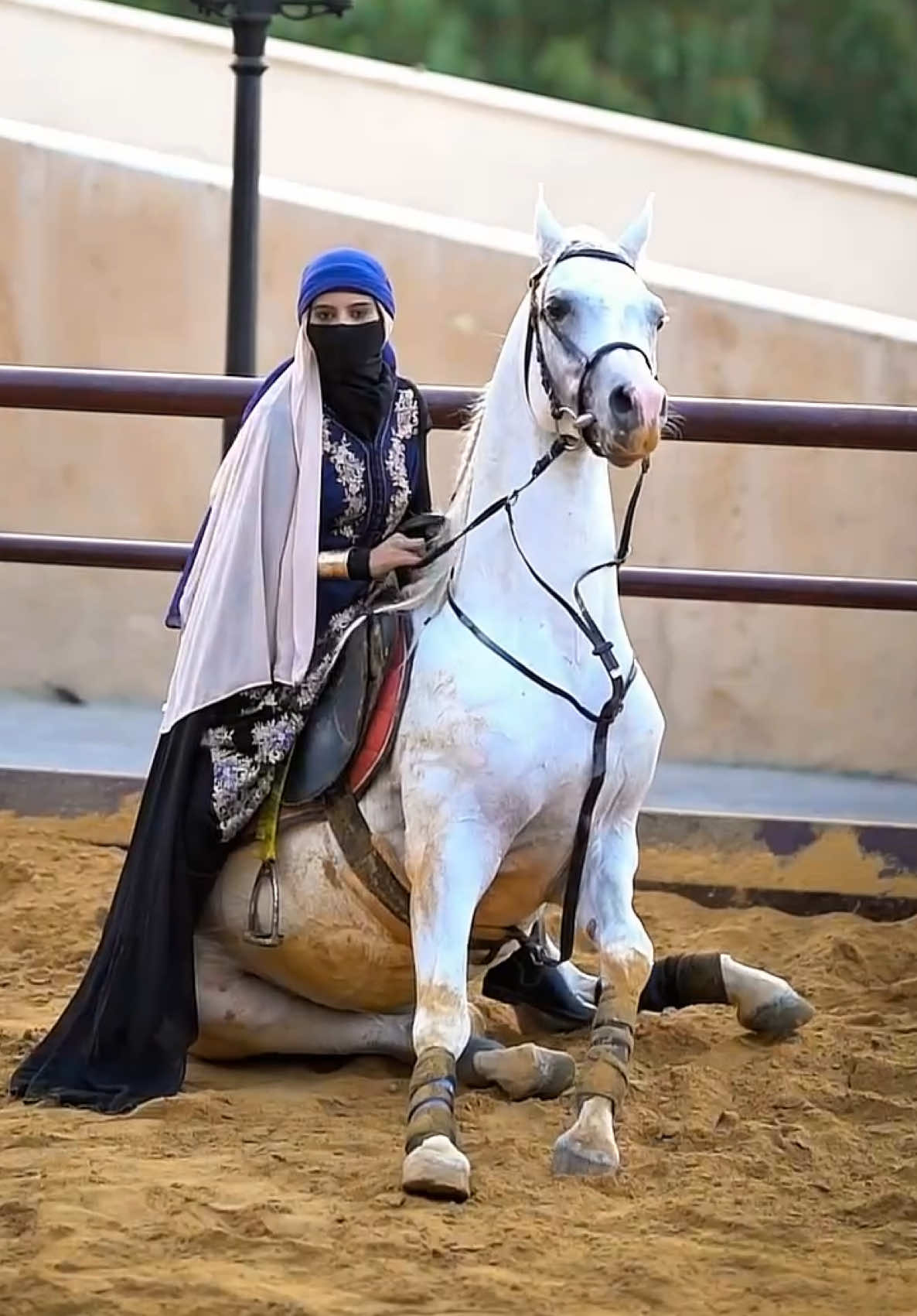 منتصر بالمعركة 😉 #مرح_الهملان 
