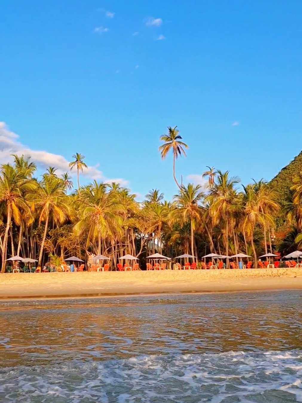 Playa Grande en Choroní, un paraíso de arena dorada y aguas cristalinas 🌊✨. Perfecta para relajarse y disfrutar del Caribe venezolano. ¡No te la pierdas! 🇻🇪☀️ #Choroní #PlayaGrande #VenezuelaTurismo #PlayasDeVenezuela #Caribe #PaisajesVenezolanos #ViajaAVenezuela 