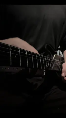 royalty  #electricguitar #donnerartist #donnerhushxpro 