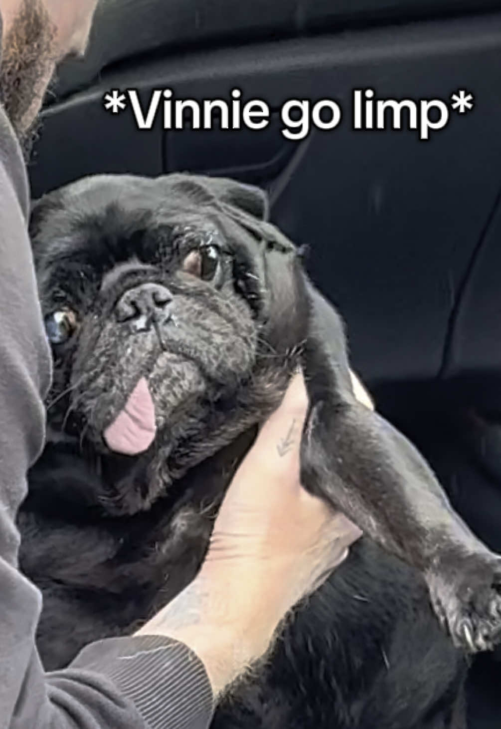 Vinnie is not a fan of precipitation ☔️ #pug #pugsoftiktok #pugtok #puglife #puglove #cute #funny #wholesome #fyp #rain #rainyday #sunday #dogsoftiktok #dogtok #dogfluencer #dogmom #dogmomlife #doglovers #PetsOfTikTok #humour #comedy #silly #animalsoftiktok 