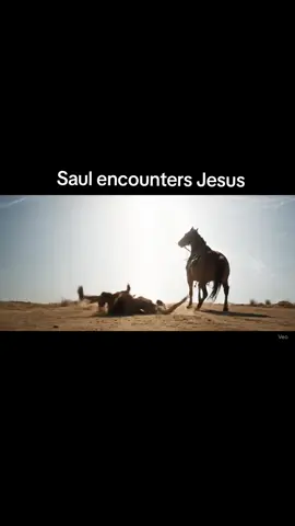 follow for more #paul #conversation 