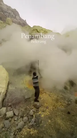 Para penambang ini 	•	Mengambil belerang dari sekitar kawah yang aktif, di mana gas belerang keluar dari celah-celah bumi. 	•	Menggunakan pipa logam untuk mengalirkan gas tersebut, yang kemudian mengembun dan menjadi belerang padat. 	•	Mengangkat potongan besar belerang—sering kali lebih dari 60 kg—menggunakan keranjang bambu, lalu dibawa menuruni gunung dengan berjalan kaki. Copy #kawahijen #tripijen #opentripijen #banyuwangi #tourijen #ijen #opentripkawahijen #bromo #ijencrater #ijentrip #wisatabanyuwangi #ijentour #kawahijenbanyuwangi #explorebanyuwangi #baluran #kawahijentrip #tripkawahijen #kawahijenindonesia #gunungijen #tripbanyuwangi #opentrip #tourbanyuwangi #tourkawahijen #opentripbanyuwangi #ijenmountain #kawahijentour #kawahijenbluefire #indonesia #ijentravel #opentripmurah