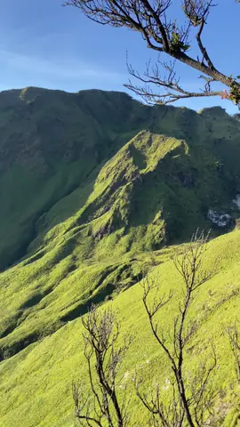 Merbabu 5-juli-2025 #merbabu3142mdpl #merbabu 