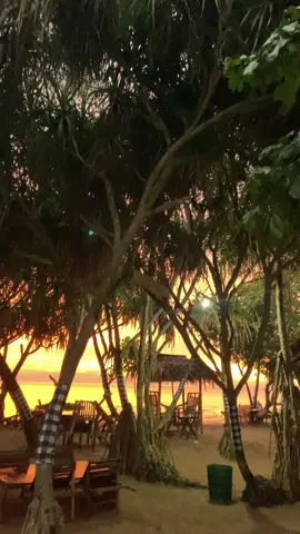 Sunset di cafe maron🌼🌅 ( pantai pailus) #cafe #cafejeparakota #pantai #pantaijepara #pailus #pantaipailus #cafemaron #fyp #fyp #masukberanda #jeparahits #sunset #sunsetvibessongs #jepara #jepara24jam #jeparahariini 