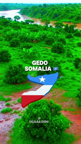 Greenland Gedo Somalia 🇸🇴 ###somalitiktok #foryoupage #foryoupage #fy#marexaanpower🇱🇺👑 #somalitiktok #gedo #somalilandtiktok💚🤍❤ 