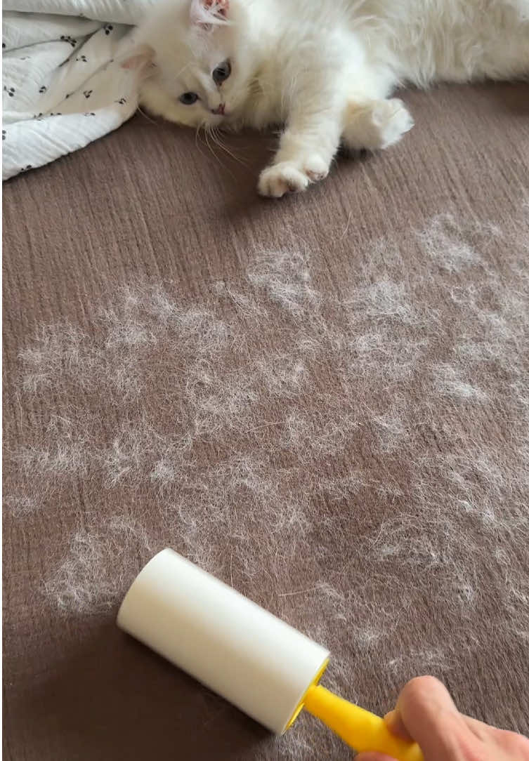A must for all hairy and shedding dog/cat owners👏🏻👏🏻👏🏻#dealsforyoudays #pethairremoval #PetsOfTikTok #tiktokshop #usa 