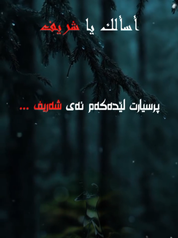 تتکلم مع بنت ..؟ قسە لەگەڵ کچی خەڵکی دەۆەی..!؟ #الشيخ_سعدون_حمادي  #al_qurrae_wa_al_aulamaa #القراء_والعلماء 