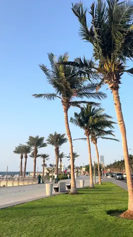 #جده 