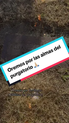 #almasbenditas #purgatorio #oremos #fypシ #catolicotiktok #eucaristia #protejenos 