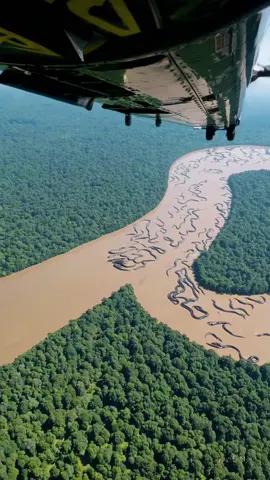 A swarm of giant anacondas moving through the river like a living mass. The jungle isn’t silent anymore — it’s crawling. What’s happening out there? 📍 Filmed during an aerial sweep over the Amazon 🎥 Real footage from onboard camera systems #AnacondaSwarm #AmazonHelicopter #WildlifeAlert #JungleTerror #HeliFootage #Shorts #SerpentUprising #NatureUncovered