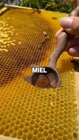 Sabías esto? 🤔 sígueme para más consejos de salud #miel #comidasaludable #alimentos #consejosdesalud #salud #comida 