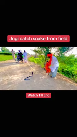 Jogi rescue snake #wildliferescue #fypシ #foryou #trendingvideo #tiktokuk🇬🇧 #unfreezemyacount 