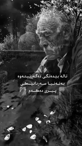 #CapCut #viral #fyp #viralvideo #fypシ゚ #vairal #ئەکتیڤبن🥀🖤ـہہـ٨ــہ #هاشتاق #هەولێر #سلێمانی #کەرکوک #رانیە #کەلار #کۆیە #کفری #هەولێر_سلێمانی_دەهۆک_ڕانیه_کەرکوک 