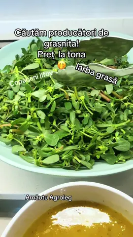 Iarba grasă!#agricultura 🇹🇩🇹🇩🇹🇩🇹🇩🇹🇩🇹🇩🇹🇩🇹🇩🇹🇩😄😄🤭🤭😂😂😂😂😂