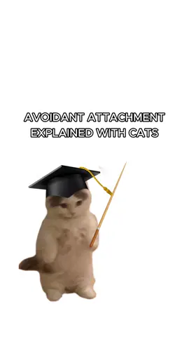 Kitty struggles with Avoidant Attachment! #cats #catsoftiktok #kittycats #ranking #kitties #sillycats #funnycats #avoidantattachment #avoidantattachmentstyle 