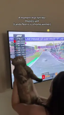 Been praying for this #F1 #Formula1  #LandoNorris  #TeamLando #LN4 #McLarenF1 #McLaren #TeamMcLaren #ForYou #FYP #Viral #BritishGP #F1Weekend #RaceDay  