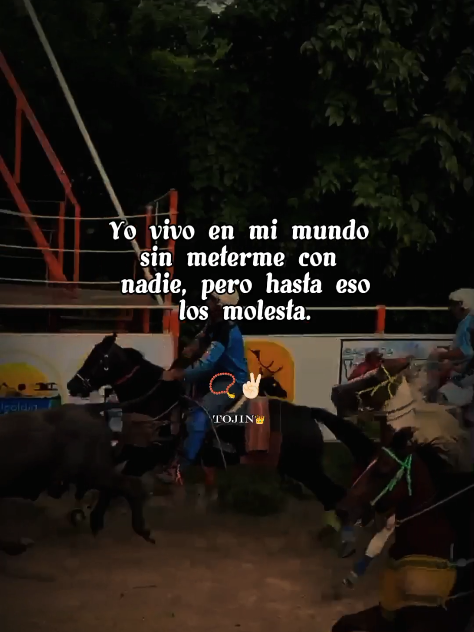 #capcut_edit #motivacional #paratiiiiiiiiiiiiiiiiiiiiiiiiiiiiiii #coleovenezolano #toroscoliado🐎🐎🐎 #coleoyparranda #caballo #coleollano_tradicion #toroscoleados🇻🇪 #fyp #coleo #videoviral #venezolano 