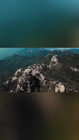 Kenalin Bearded Vulture alias Elang Berjanggut—burung gagah yang hidup di pegunungan tinggi dan punya gaya makan yang enggak biasa! Meskipun disebut elang, dia bukan elang sejati karena enggak berburu mangsa hidup. Uniknya, 90% makanan burung ini adalah tulang dari bangkai, tapi dia cuma pilih tulang yang bersih. #fyp #foryou #burung #fakta 