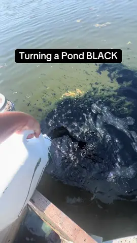 Making a Pond Black