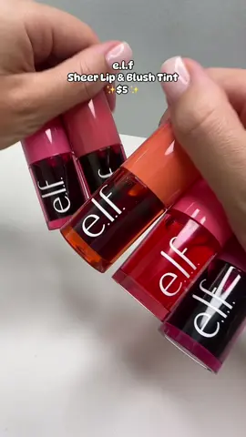 5 never looked this good 😍 #elfcosmetics #blushcheck @e.l.f. Cosmetics #lipstain #lipcombo #liptint #blushtint #elfcosmetics #ttsbeautybesties #tiktokshopcreatorpicks #dealsforyoudays 