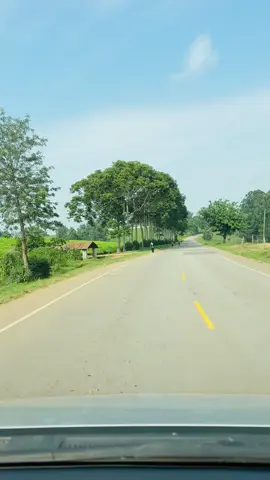 Feel the beauty of Uganda #uganda #travel #tourism #trendingvideo #roadtrip #western #videoviral #plantations #exploreuganda #namibsafaris #fypシ゚ 