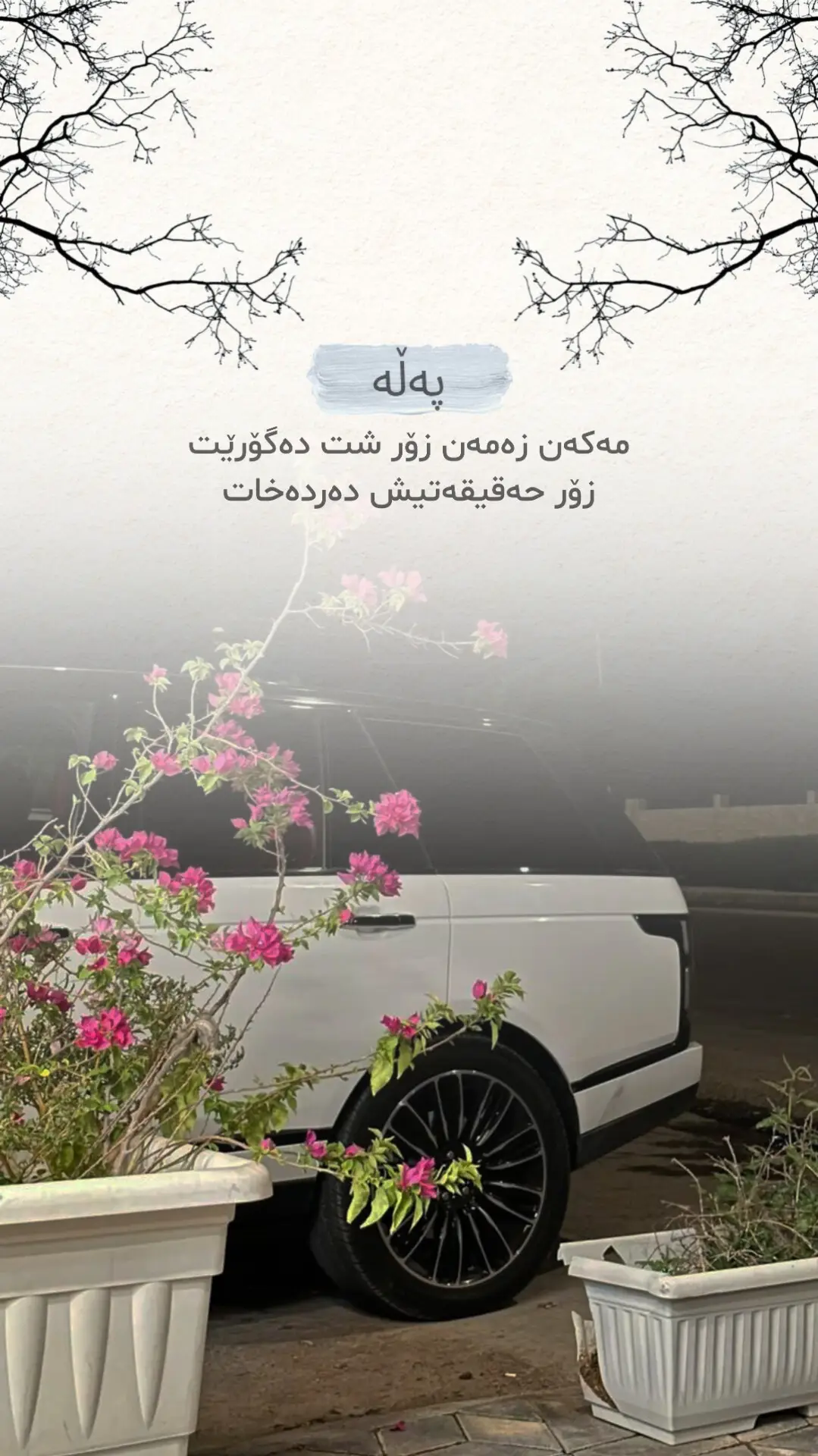 #foryou #fyp #text #hawler #dhok #slemani #karkuk #kurd #kurdistan #merannaser 